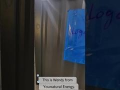 bateria Containerized do sistema 1MW 2MWH LiFePo4 do armazenamento de energia da bateria de 40ft